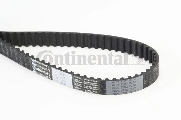 Timing Belt